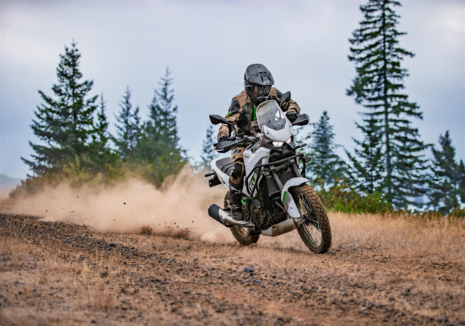 2026 Kawasaki KLE500