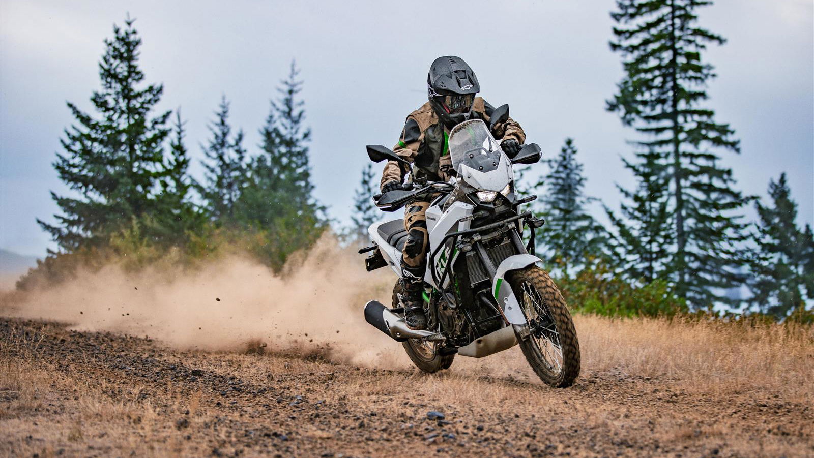 2026 Kawasaki KLE500