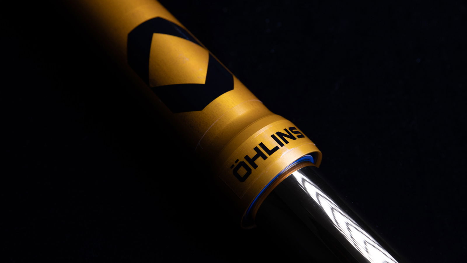 Ohlins front fork