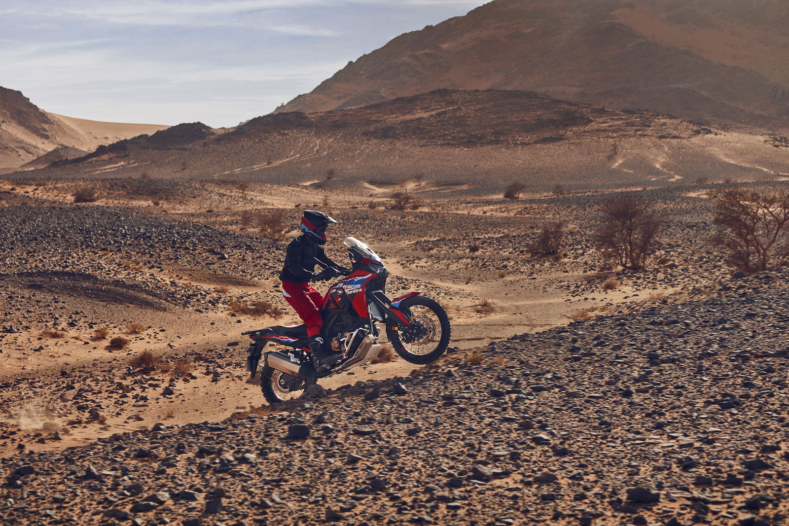 Riders can opt for a CRF300L or the CRF1100L Africa Twin (pictured)