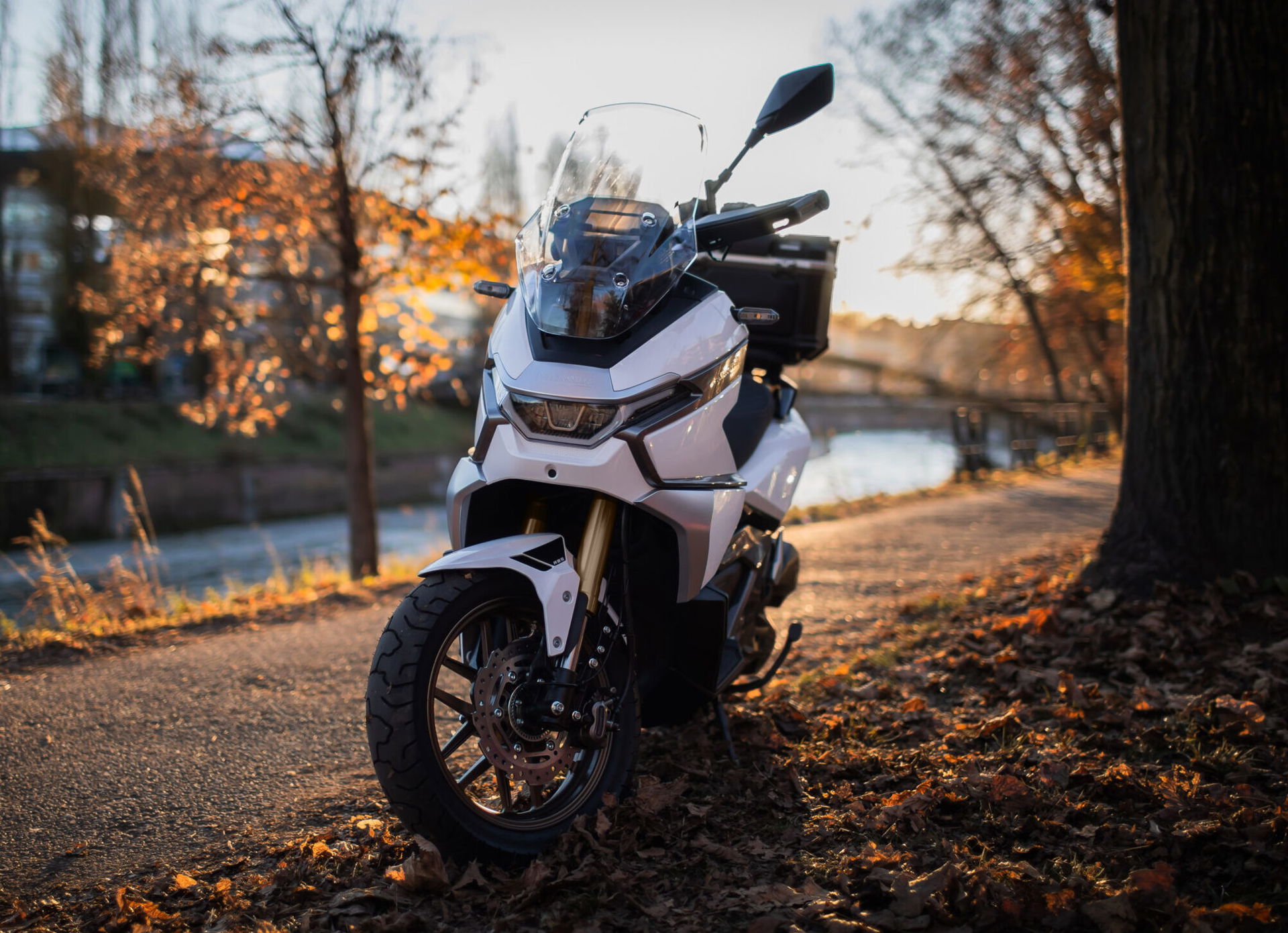 The Phelon & Moore Panthette X