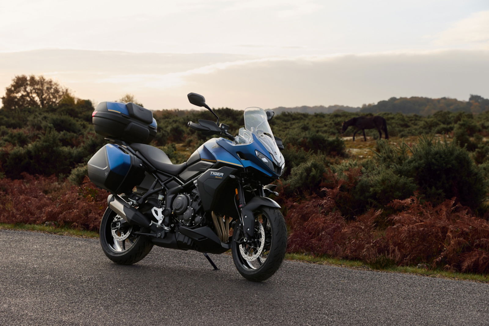 The 2026 Triumph Tiger Sport 800 Tour