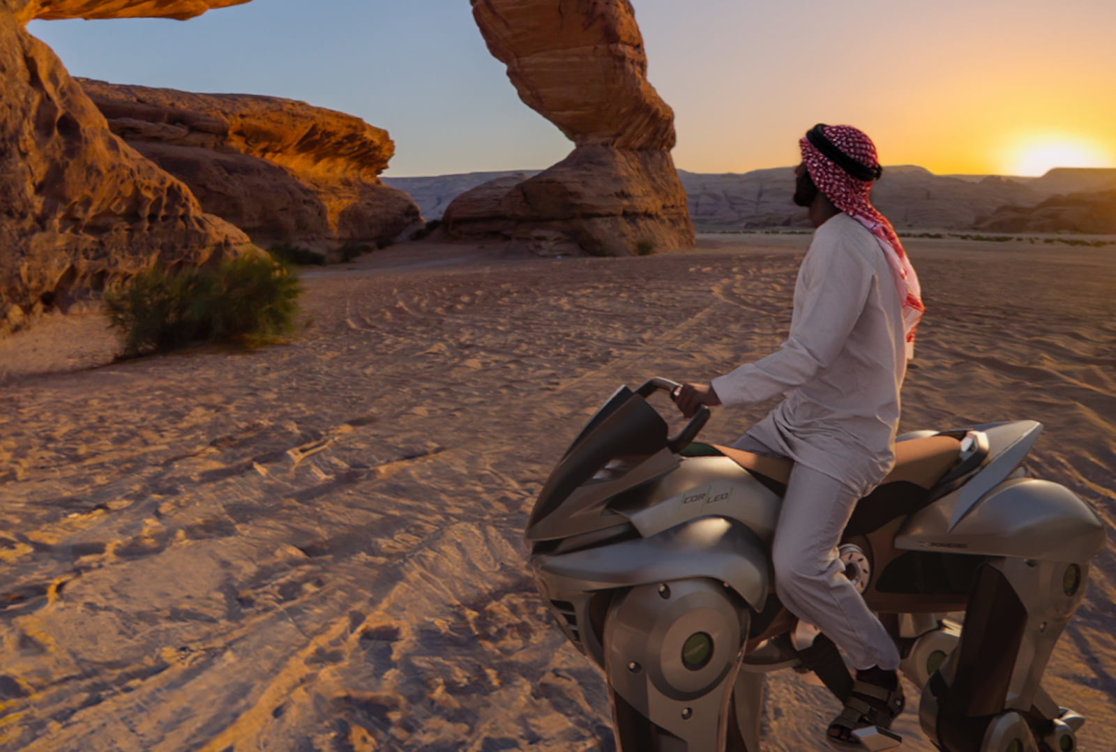 The Kawasaki Corleo Concept