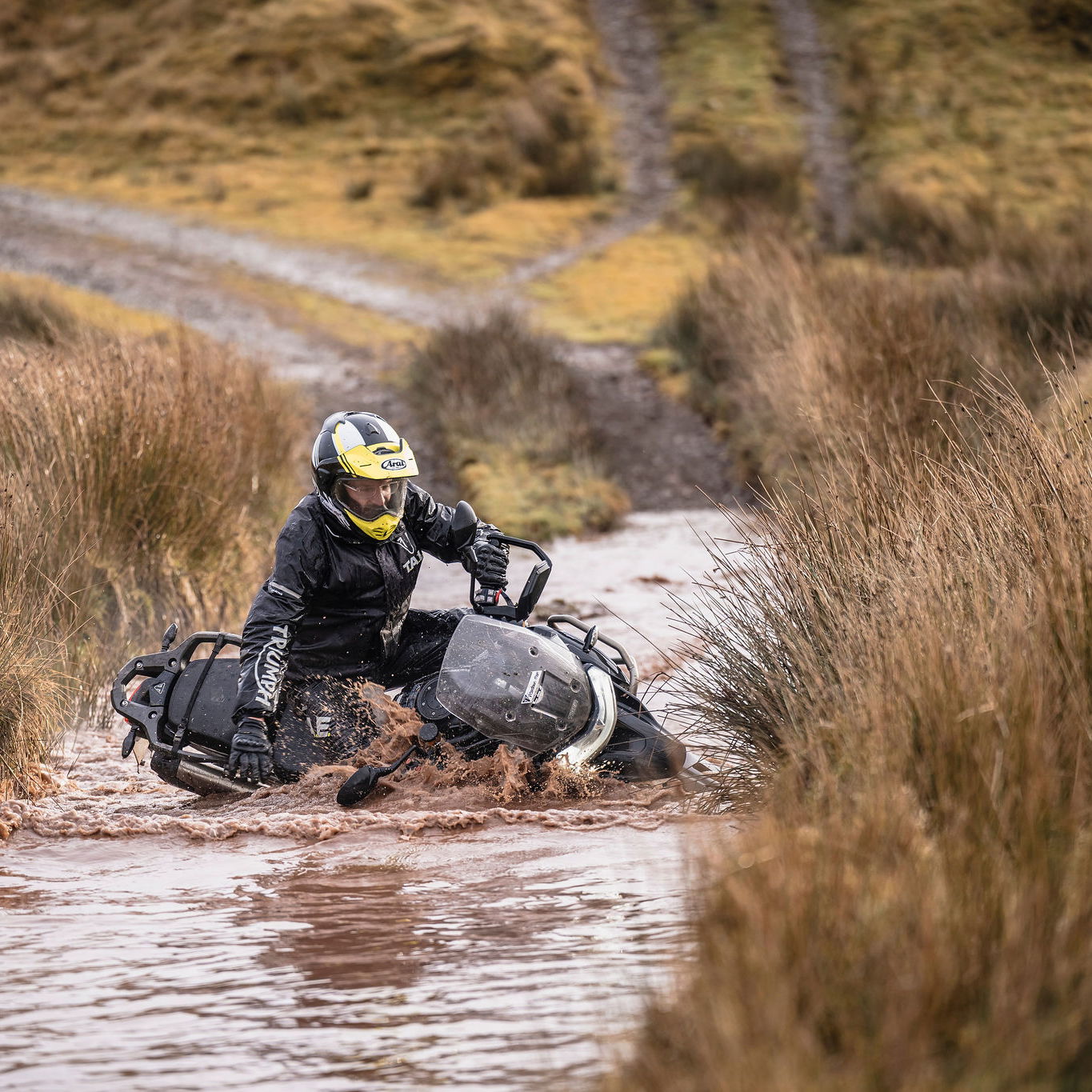 Going, going... gone.