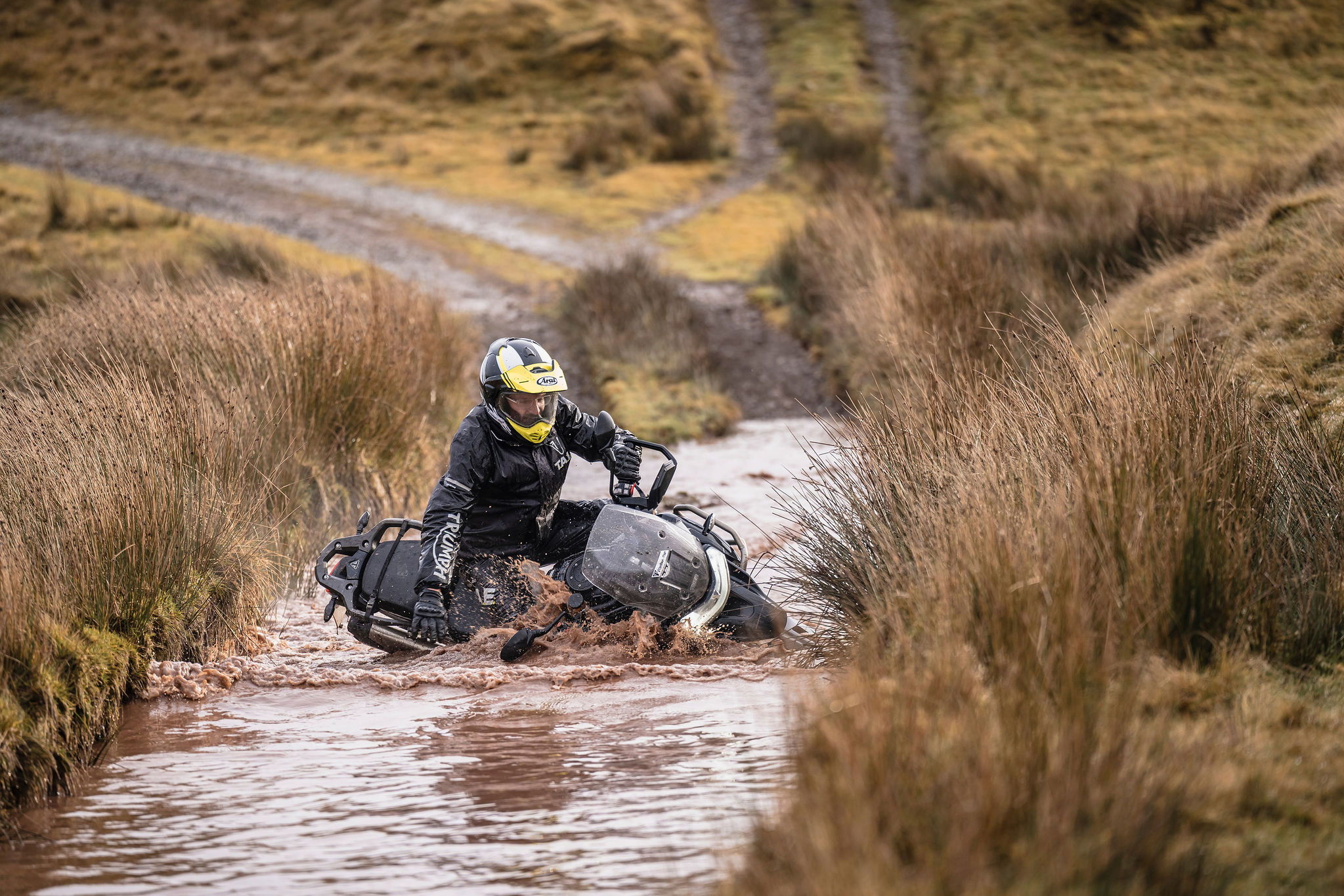 Going, going... gone.