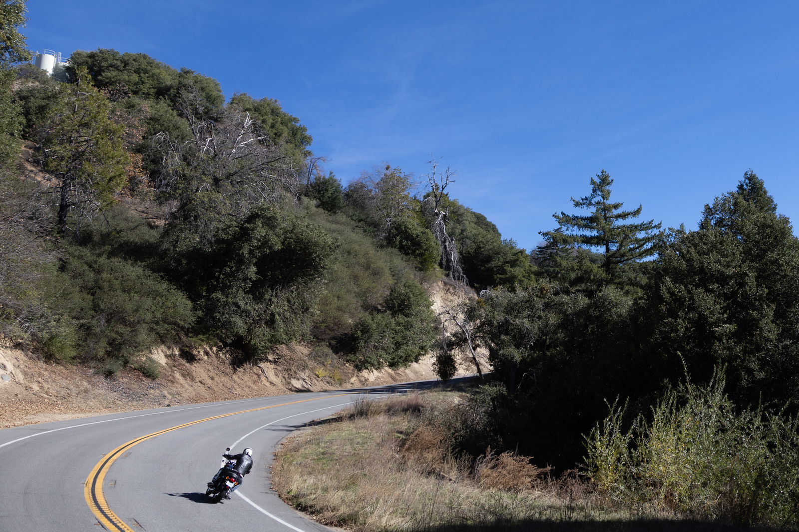 The 2026 Triumph Bonneville T120 - riding