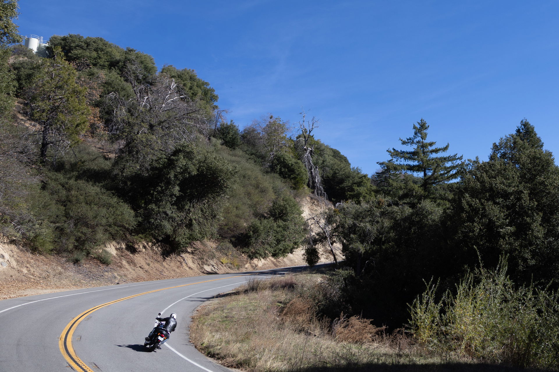 The 2026 Triumph Bonneville T120 - riding