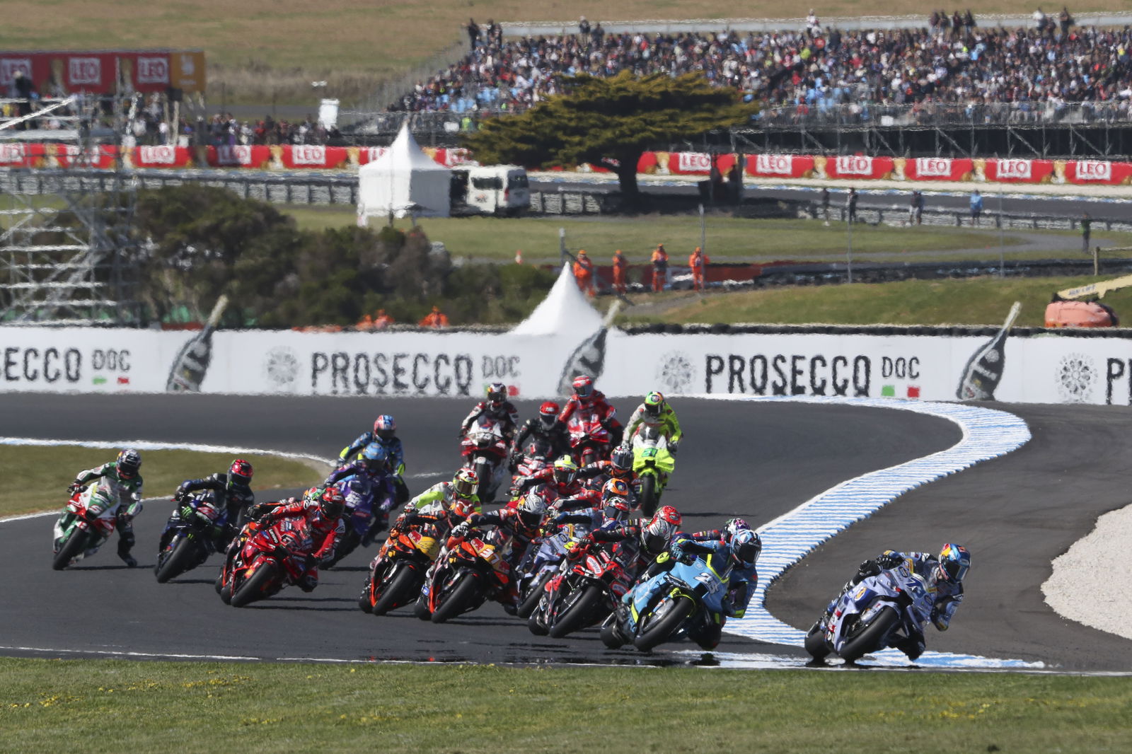 2025 MotoGP race at Phillip Island. Photo credit - Gold and Goose