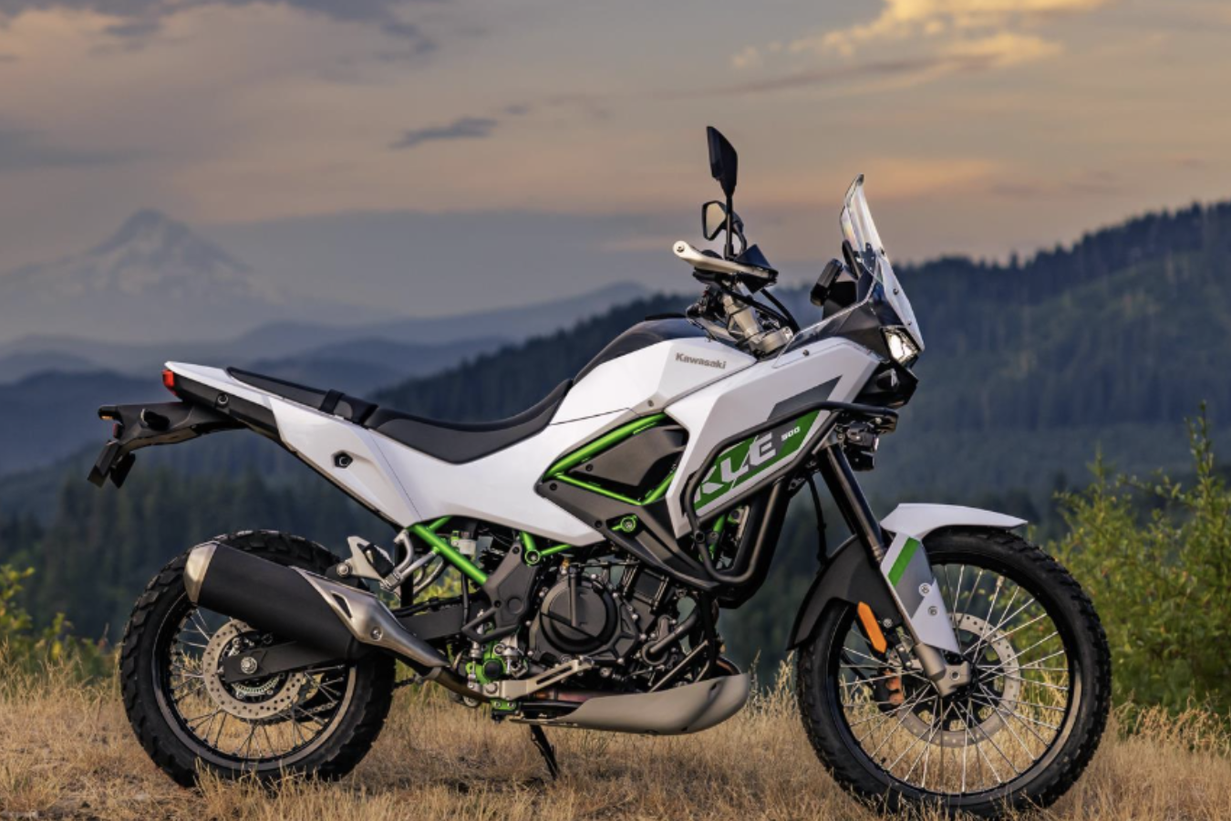 The new Kawasaki KLE500