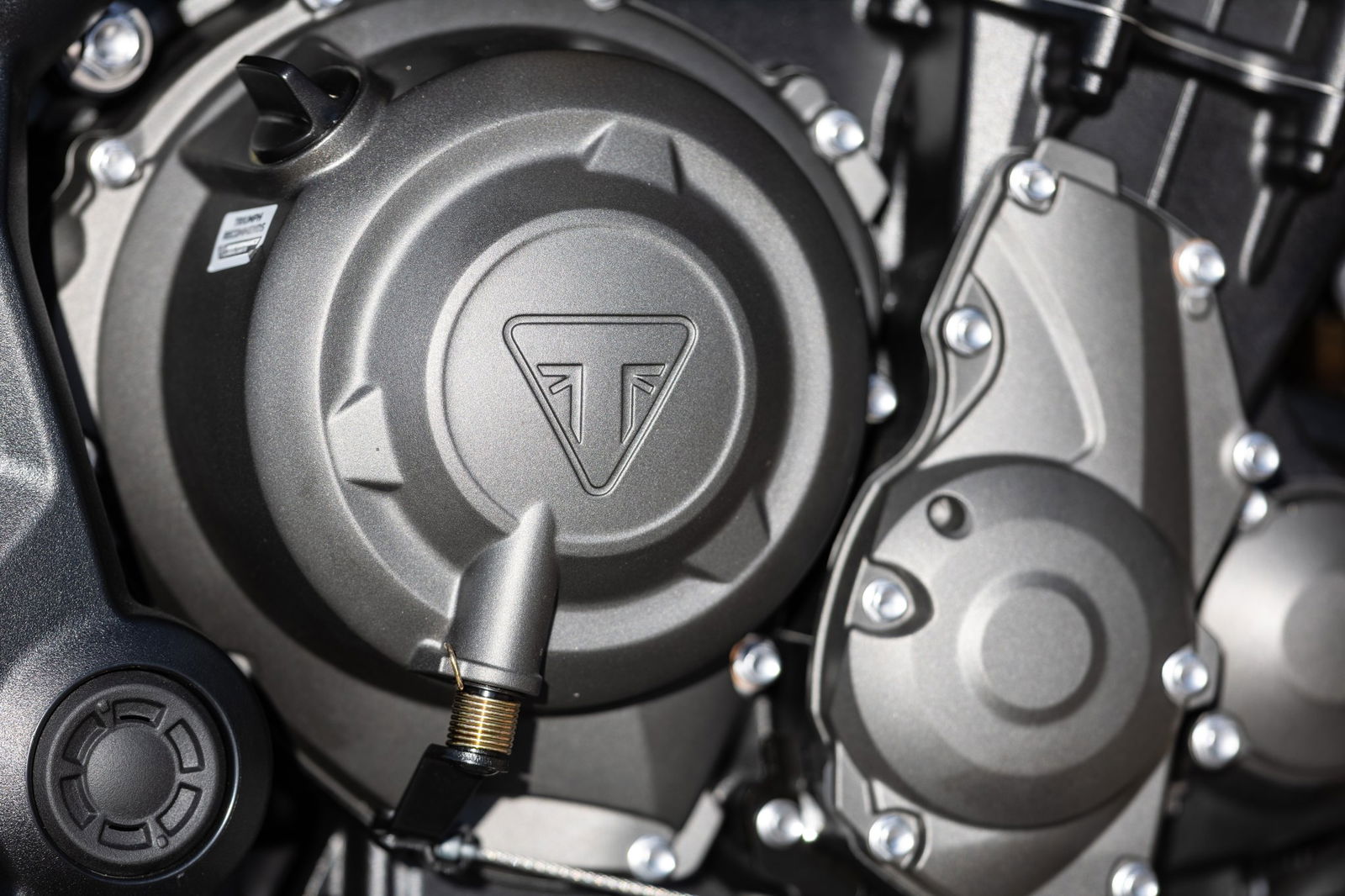 The 2026 Triumph Trident 660