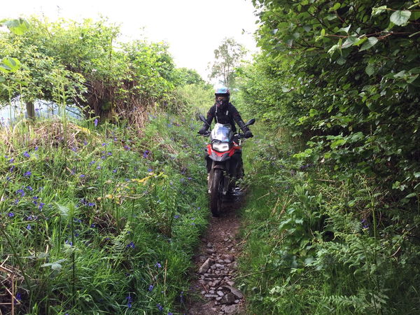 Spankers BMW F850GS Sport UK first ride