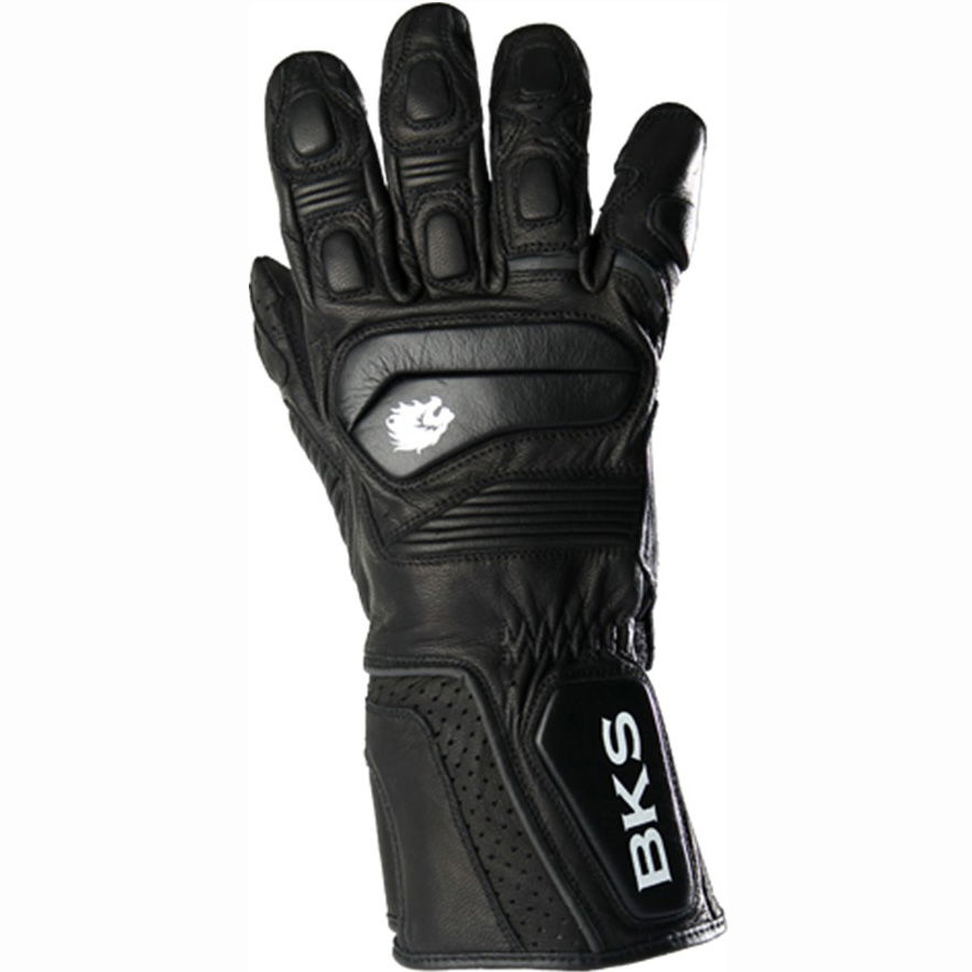 Guanto RS2 review