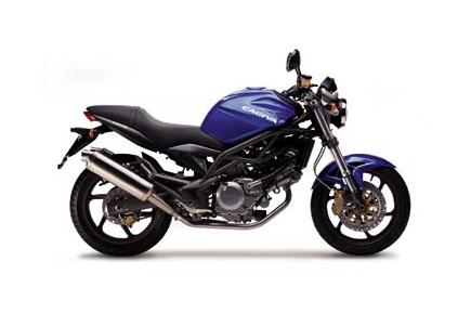 Raptor 1000 (2000 - 2006) review
