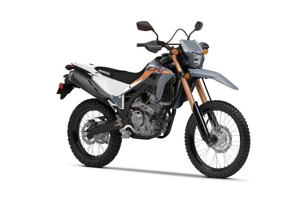 2023 Honda CRF300L in Swift Grey