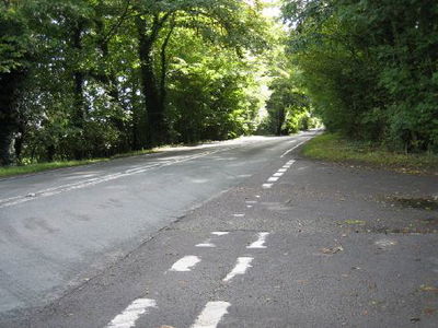 A272 passes between trees. - Sabre Roads