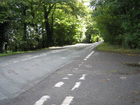 A272 passes between trees. - Sabre Roads