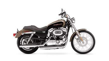 XL1200 Custom review
