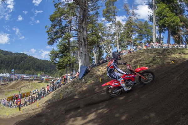 Tim Gajser, 2022 MXGP of Argentina. - Honda Racing Corporation.