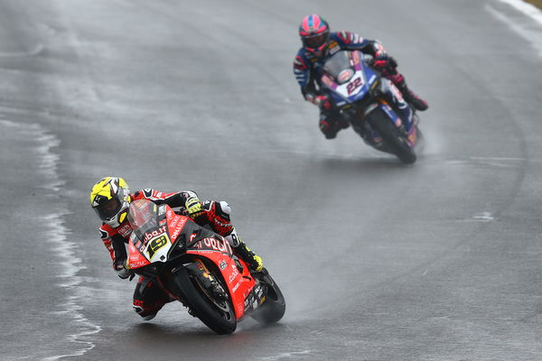 Alvaro Bautista leads Alex Lowes, 2019 Donington WorldSBK. - Gold and Goose