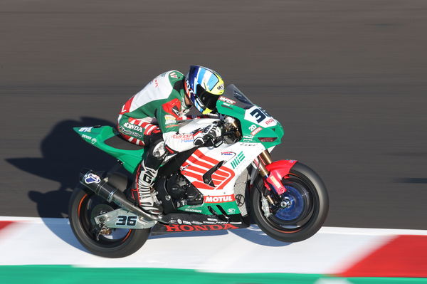 Leandro Mercado - MIE Racing Honda WorldSBK 2021