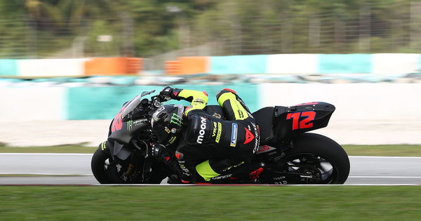 Marco Bezzecchi - Moony VR46 Ducati