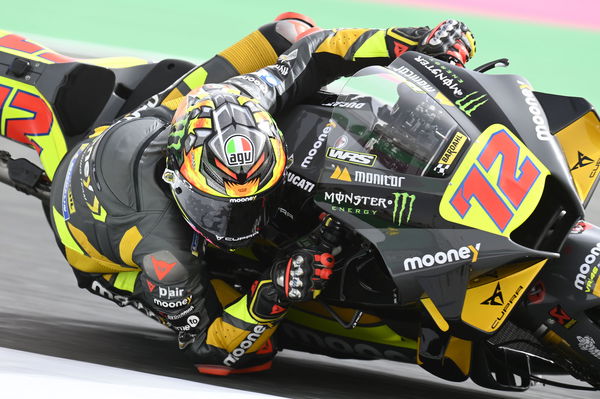 Marco Bezzecchi - Moony VR46 Ducati