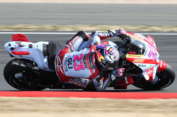 Enea Bastianini, 2022 British Grand Prix. - Gold and Goose