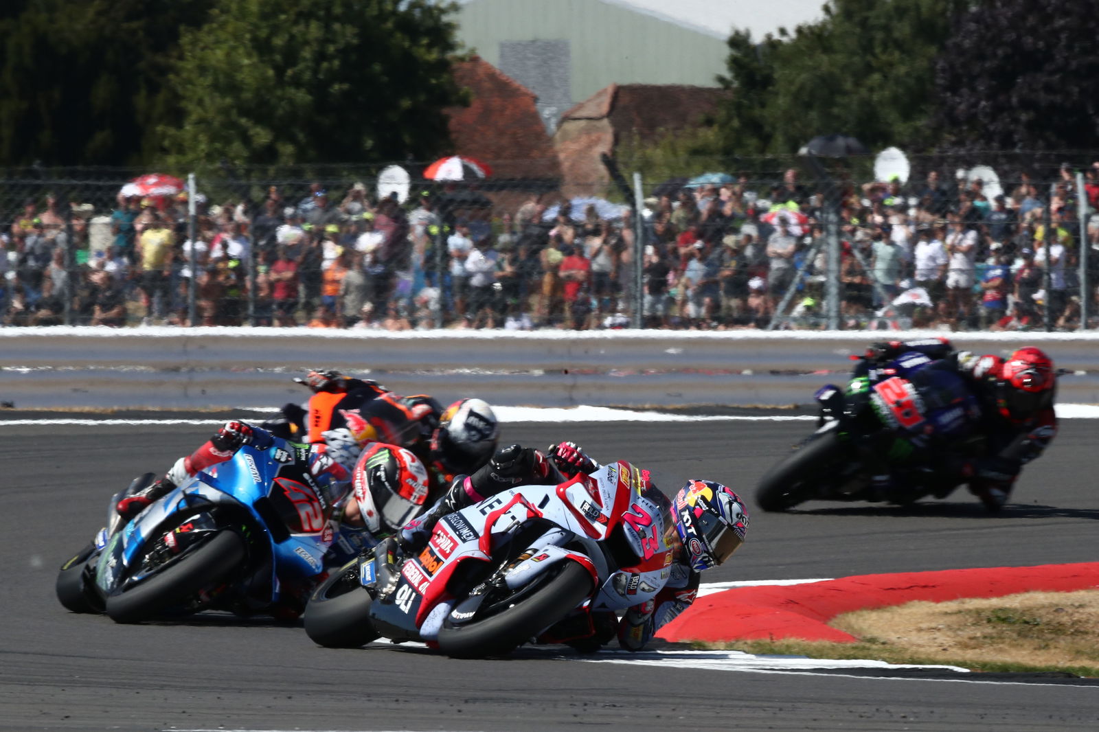 Enea Bastianini, 2022 British Grand Prix. - Gold and Goose