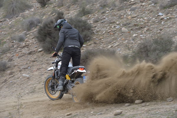 Ducati Scrambler Desert Sled