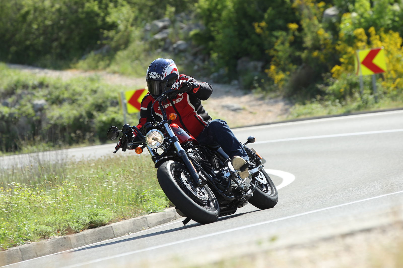 2018 Harley-Davidson Sportster Forty-Eight