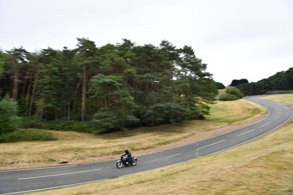 The BSA riding through a wooded area