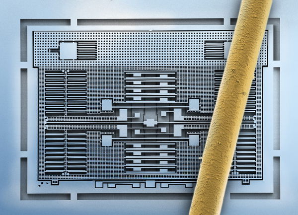 Bosch MEMS sensor with human hair