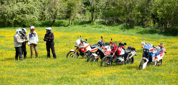 Dakar Enduro Rally group classic adventurers