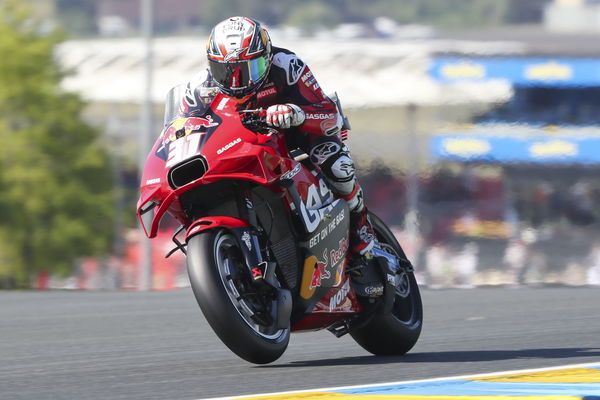 Pedro Acosta, 2024 MotoGP French Grand Prix. - Gold and Goose