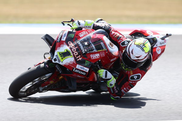 Alvaro Bautista, 2024 Emilia-Romagna WorldSBK. - Gold and Goose