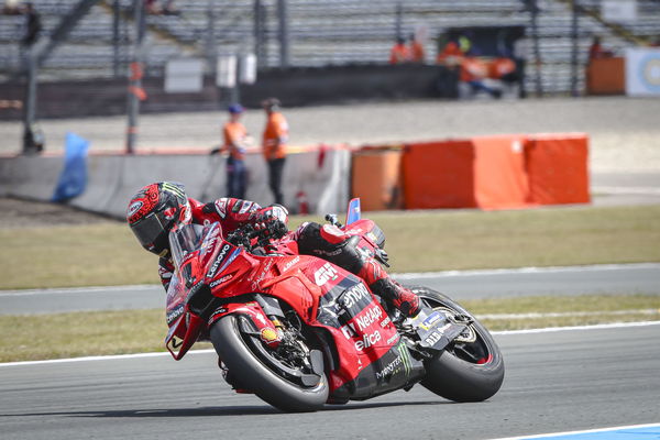 Francesco Bagnaia, 2024 MotoGP Dutch TT. - Gold and Goose