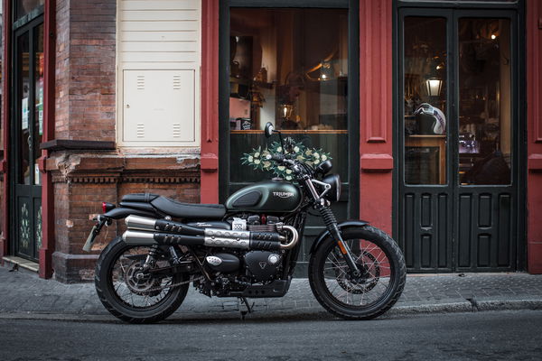 Triumph Street Scrambler