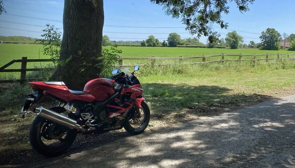 Honda CBR600FS - F-Sport under a tree