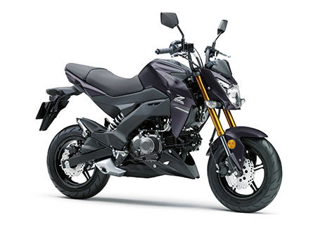 Kawasaki Z125 Pro