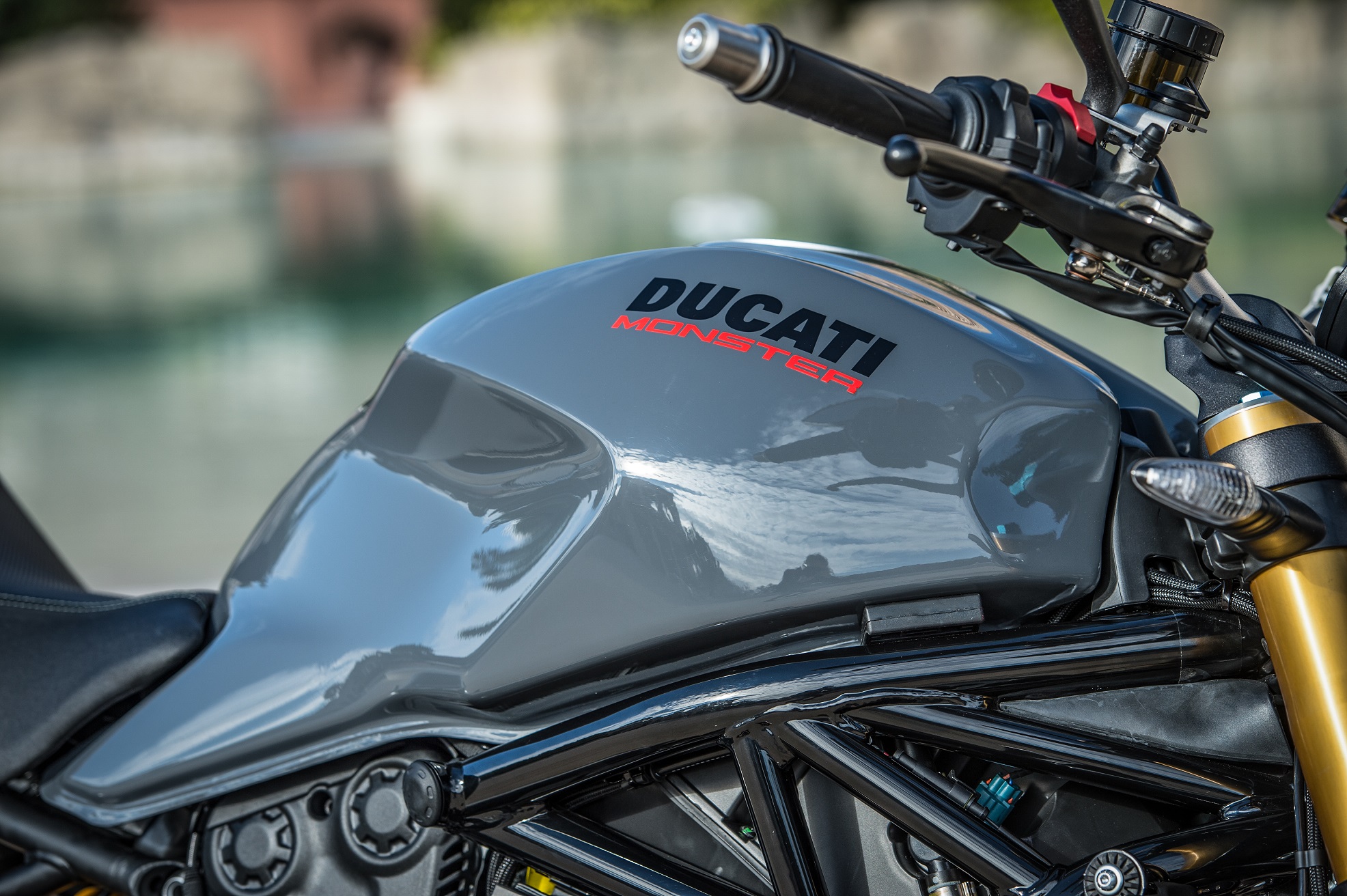 2017 Ducati Monster 1200 tank