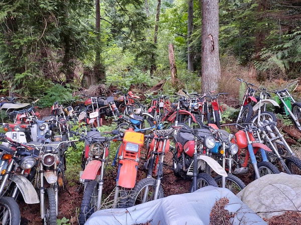 Motorcycle Graveyard