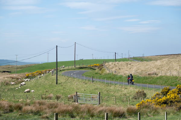 A motorcycle riding along a country road in Northern Ireland