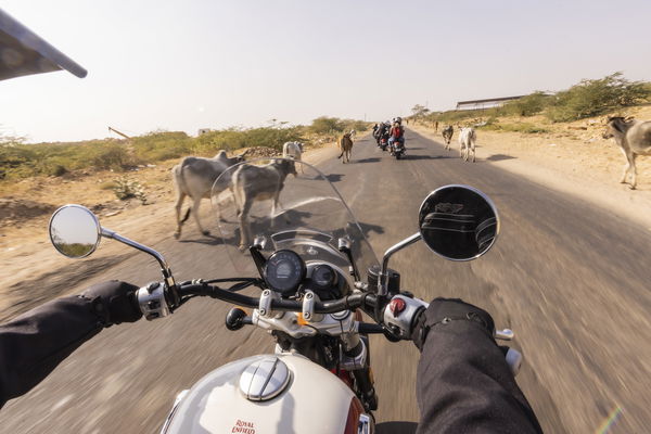 riding photo royal enfield super meteor 650