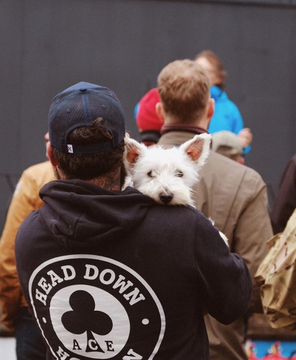 Bikeshed Festival Dog