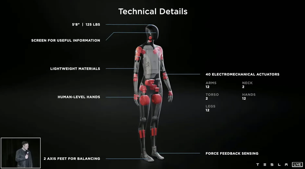 Tesla Bot