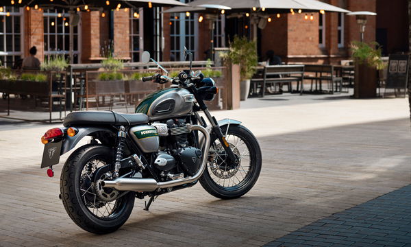 Triumph T100 Gold Line