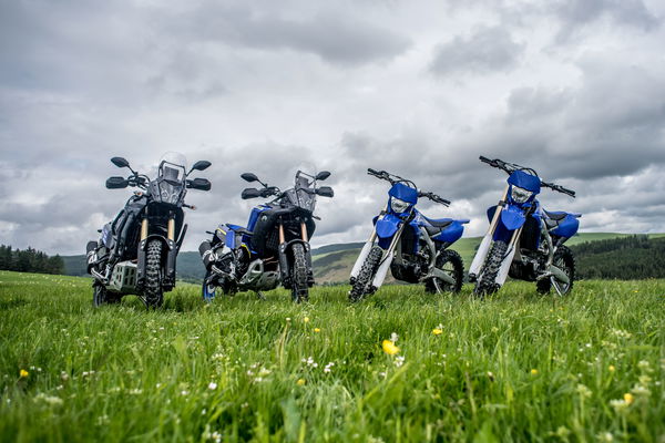 Yamaha Tenere 700 and WR250F