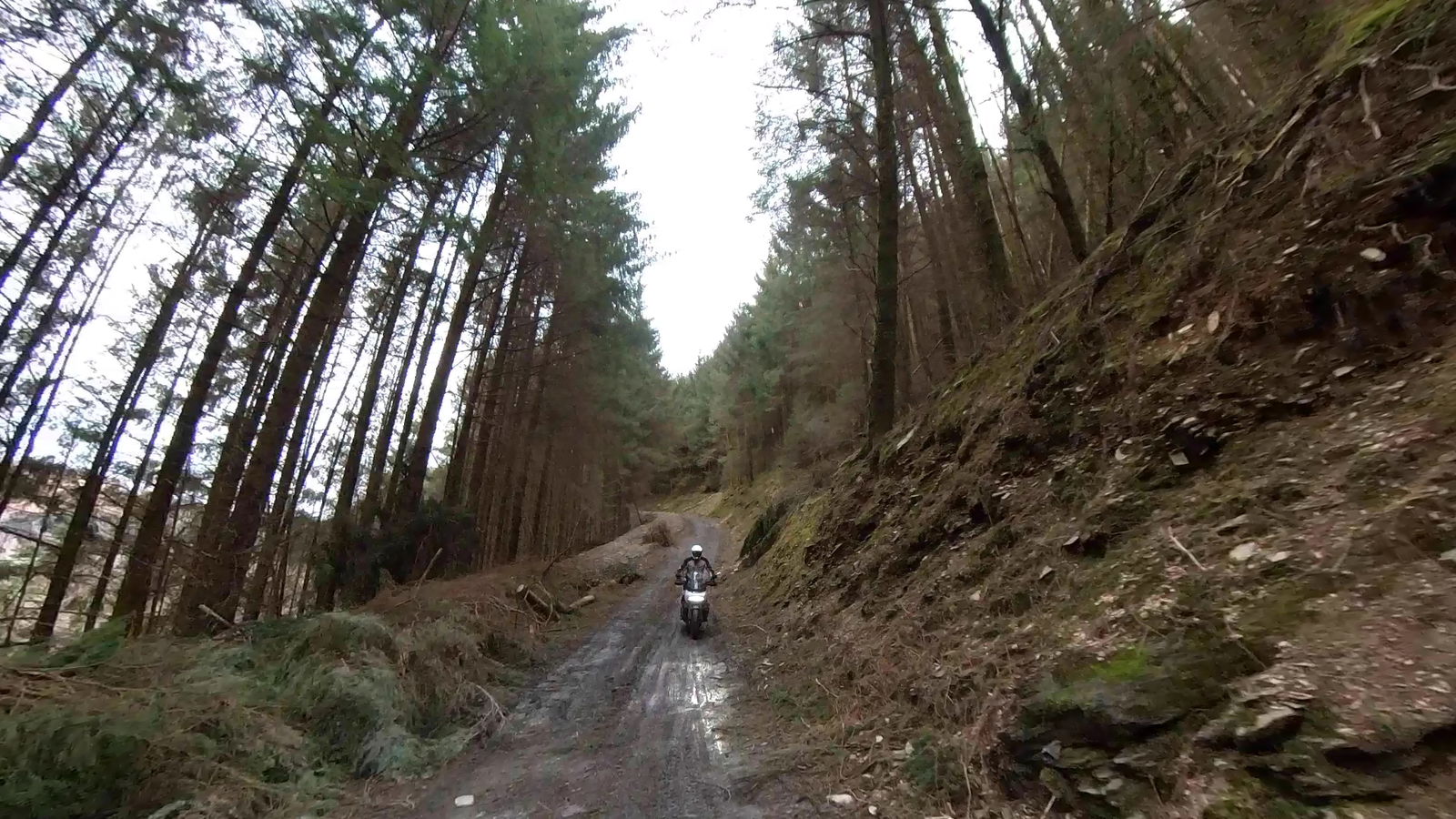Motorcycle Events | Harley-Davidson Adventure Centre review