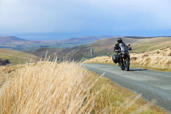 Welsh mountain riding sports tourer