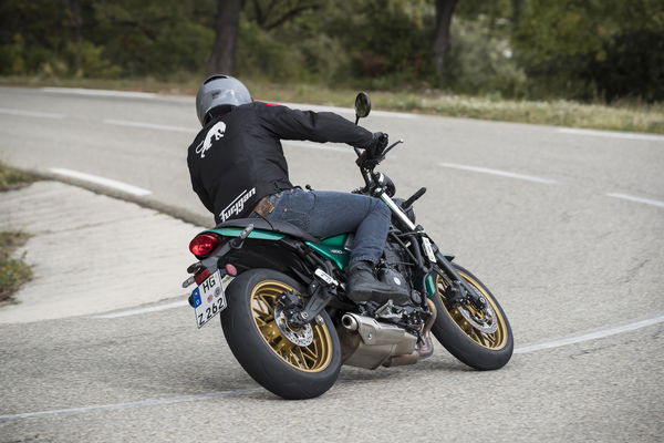 Z650RS rear